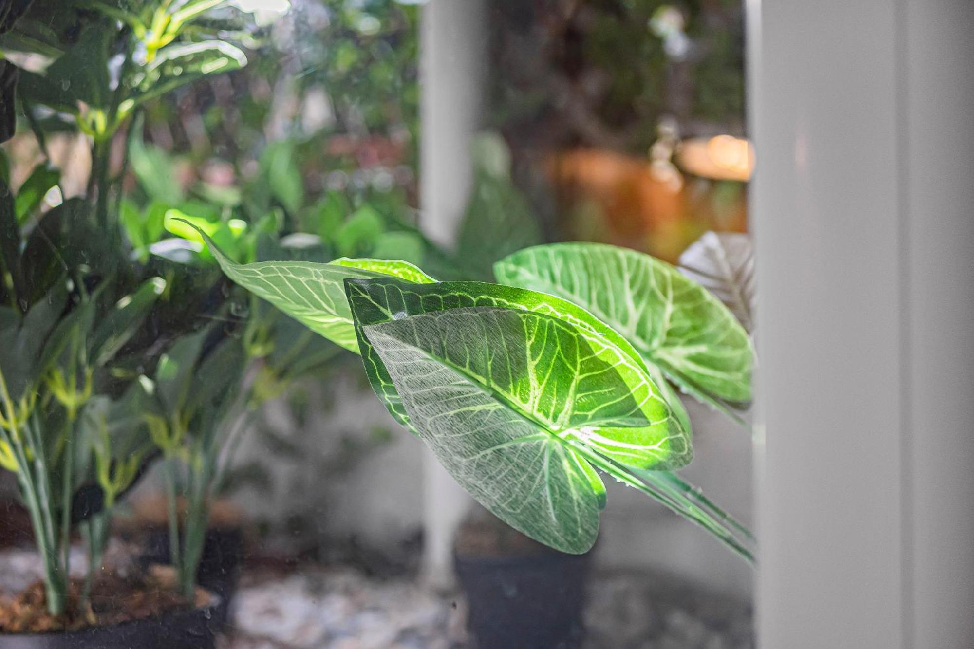 Pass The Keys Private Garden Apartment By Tulse Hill Station Λονδίνο Εξωτερικό φωτογραφία